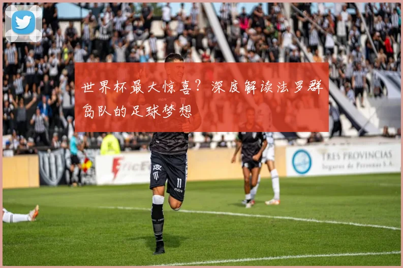 世界杯最大惊喜？深度解读法罗群岛队的足球梦想
