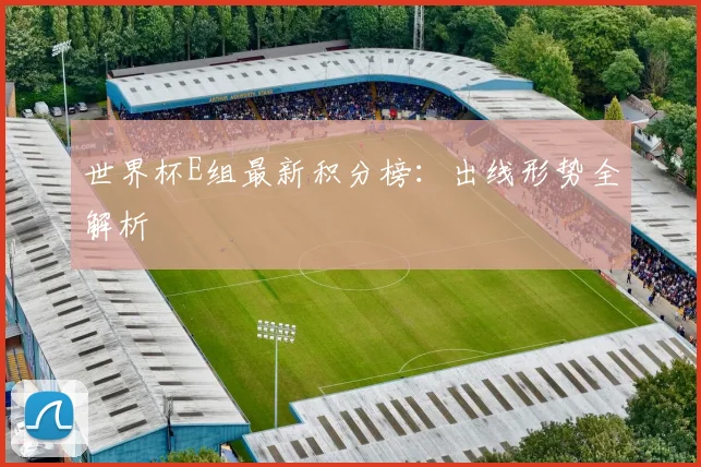 世界杯E组最新积分榜:出线形势全解析