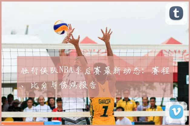 独行侠队NBA季后赛最新动态：赛程、比分与伤病报告