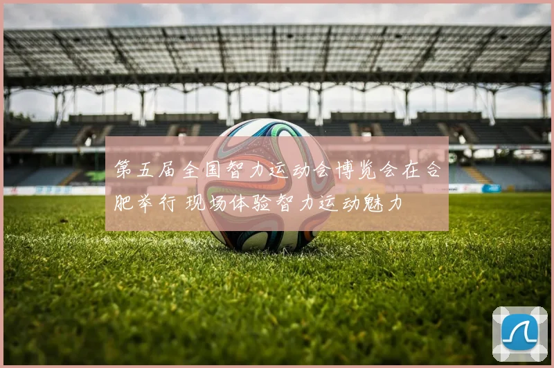 第五届全国智力运动会博览会在合肥举行 现场体验智力运动魅力