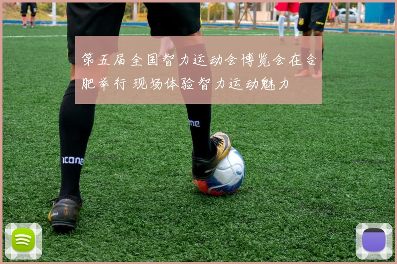 第五届全国智力运动会博览会在合肥举行 现场体验智力运动魅力
