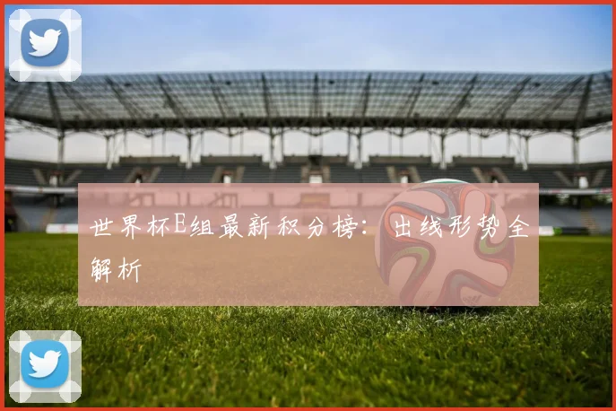 世界杯E组最新积分榜:出线形势全解析